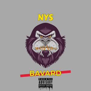 Bavard