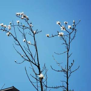 嘿嘿_2022-03-22_151814