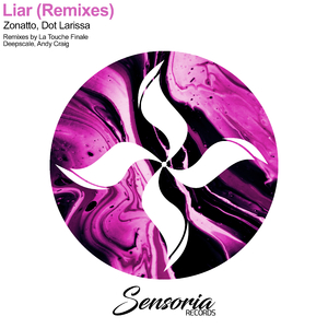 Liar (Deepscale Remix)