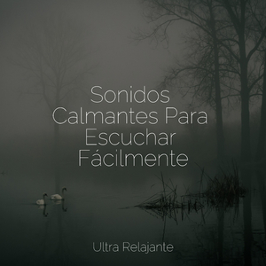 Sellador De Paz