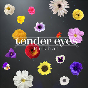 tender eyes (Cover)