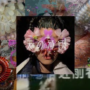 天の邪仔 ft.ナースロボtypeT