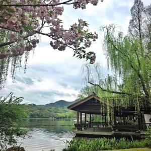 今宵酒醒何处（口哨版）