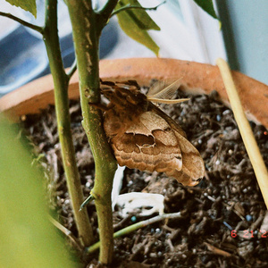 True Freedom Comes To Those Who Triumph In Darkness.