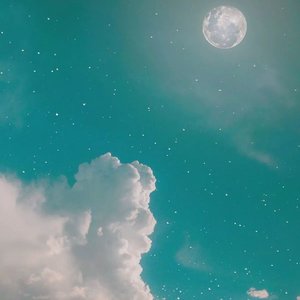 一个人的浮世清欢