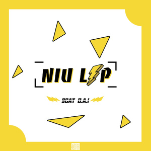 NIU LI P