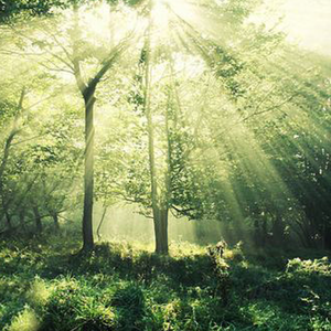 717a54053db3d47e2f3bab4b875ea36123b611f7