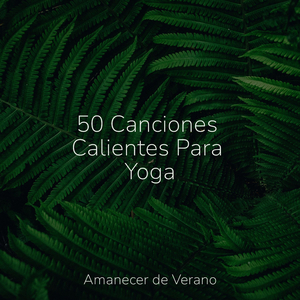 Calma Cavernosa