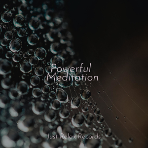 Echoes of Ember Skies