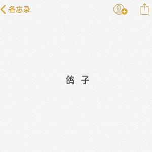 鸽子（翻自 洛天依）