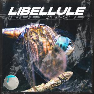 Libellule (Instrumental)