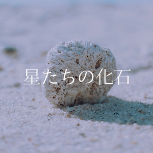 星星们的化石