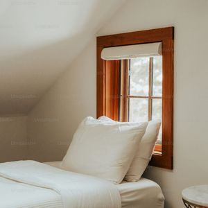 森林中的宁静寻觅