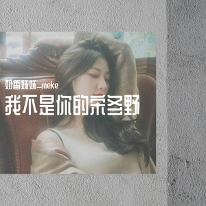 我不是你的宋冬野