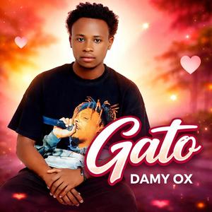 Gato