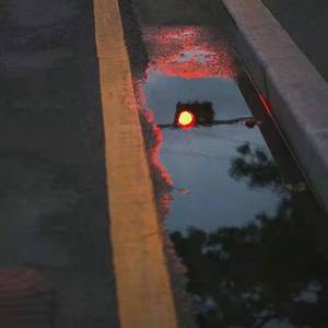 早春的树