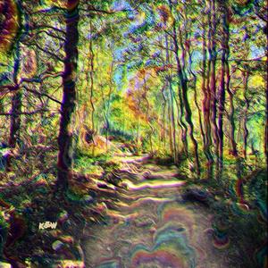 Hallucination