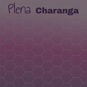 Monarda Composition