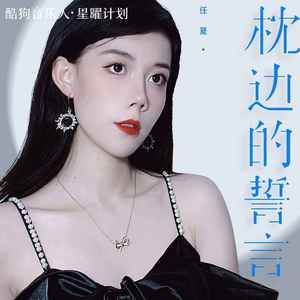 枕边的誓言 (DJEva版)