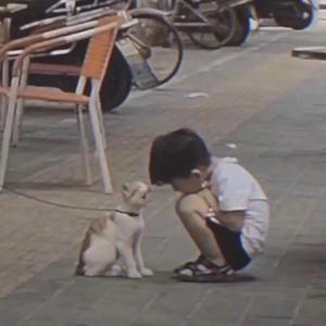 偏爱