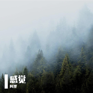 心中的感觉 (49)