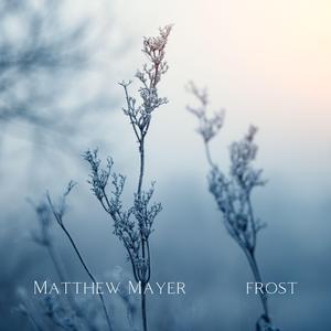 Frost
