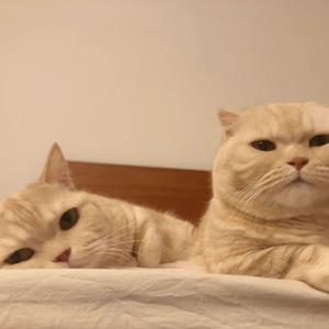 背着地球偷偷亲吻