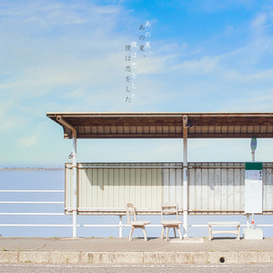 あの夏、僕は恋をした