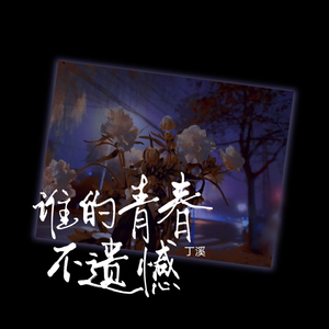 谁的青春不遗憾 (Dj版)