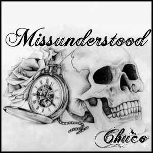 Missunderstood