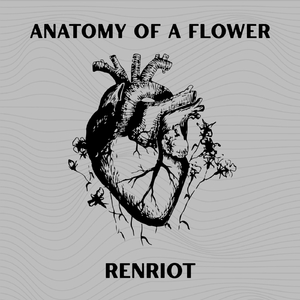 Anatomy of a Flower
