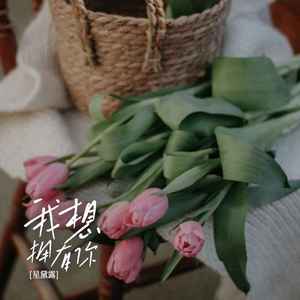 我想拥有你 (0.8x版)