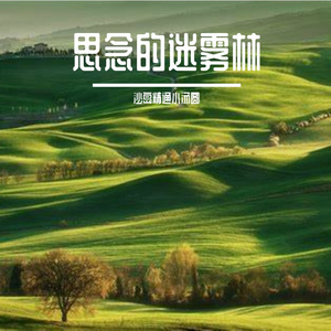 思念的迷雾林