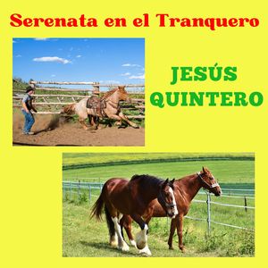 Tristeza y Remordimiento