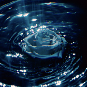 All About Ourselves (Acapella Beats)