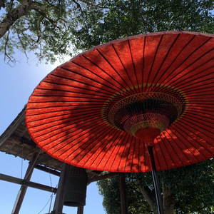 花燈が降る夜