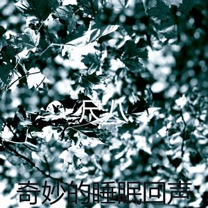 抚慰的瑜珈回忆