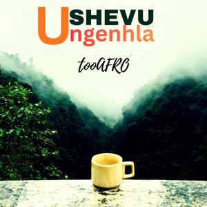 USHEVU UNGENHLA