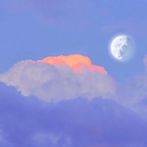 虹之间，沈亦翻唱