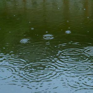 中国风 Type Beat “池雨”