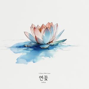 연꽃(Lotus)