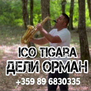 Дели Орман