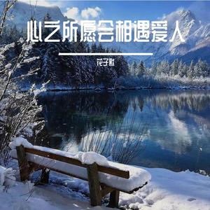 花子默-友情岁月(Dj版)（花子默 remix）