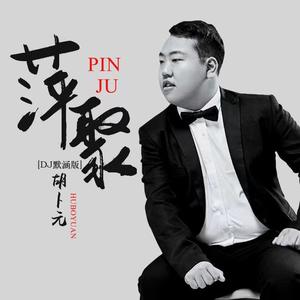萍聚(DJ默涵版伴奏)