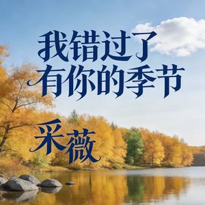 我错过了有你的季节 (伴奏)