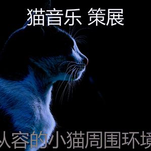 安静的猫声音