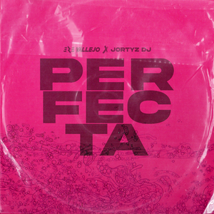 Perfecta (Remix)