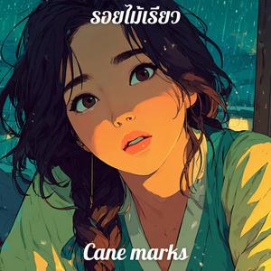 รอยไม้เรียว (Cane marks)