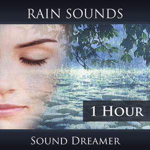 Rain Sounds - 1 Hour