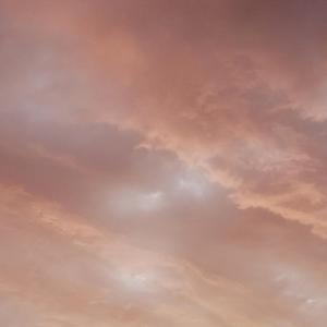 菩提树下的兄弟